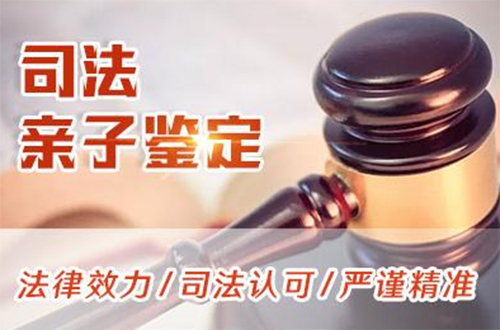 杭州司法亲子鉴定需要如何做,杭州司法DNA亲子鉴定价格