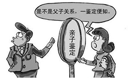 杭州亲子鉴定机构在哪里，杭州亲子鉴定需要多少钱