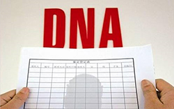 杭州哪里有正规的DNA检验鉴定中心，杭州正规DNA亲子鉴定价格
