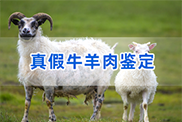 杭州羊类动物鉴定