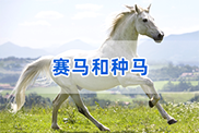 杭州马类动物鉴定